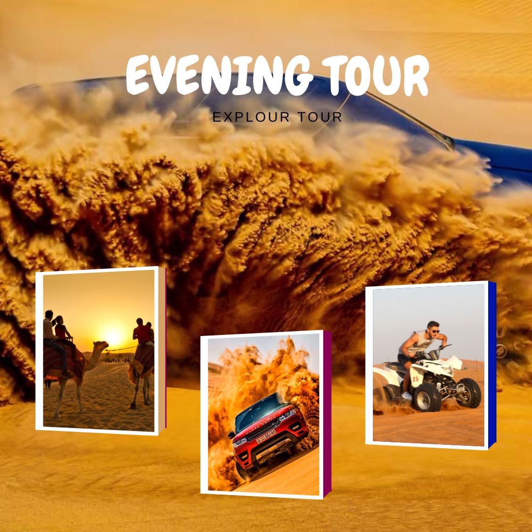 Evening Safari