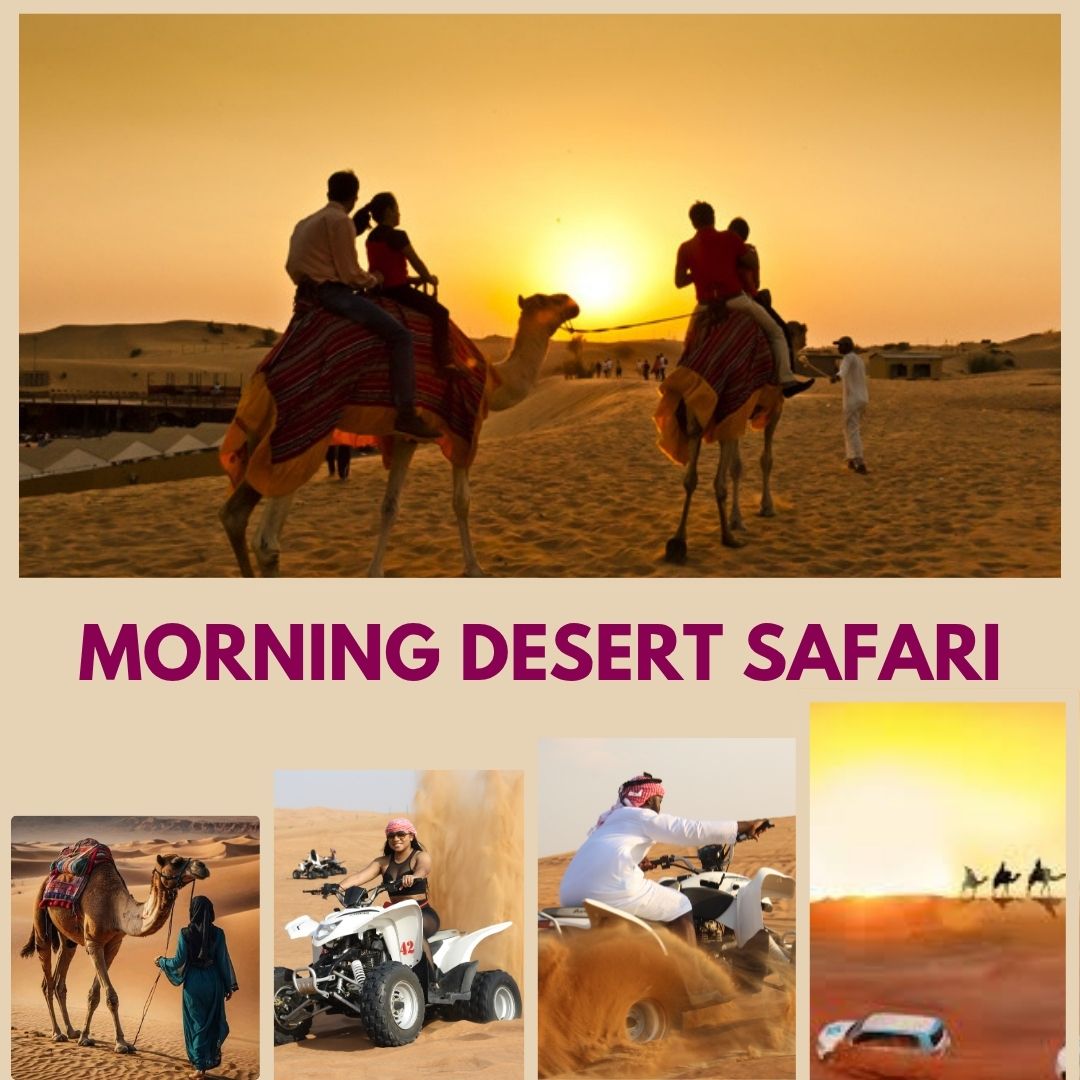 Morning Safari